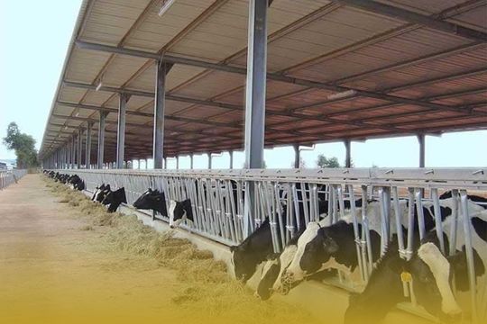 Pre-Engineered Steel Structures